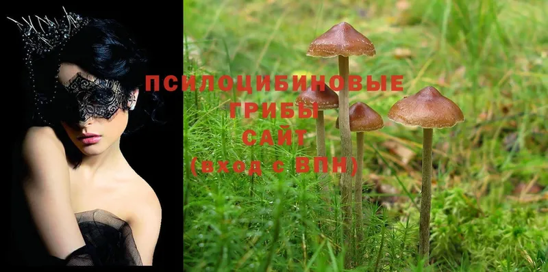 цены наркотик  Бирюч  OMG рабочий сайт  Псилоцибиновые грибы Magic Shrooms 